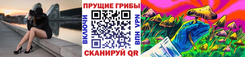 Псилоцибиновые грибы мицелий  маркетплейс клад  Лысково  как найти закладки 